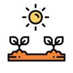 Natural icon