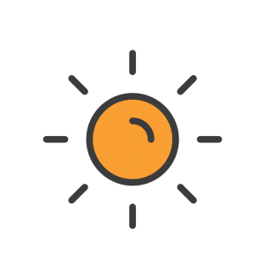 Vitamin C nutrient icon